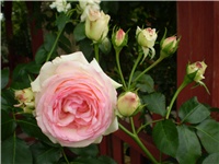 39c93679-Picture 3361.jpg